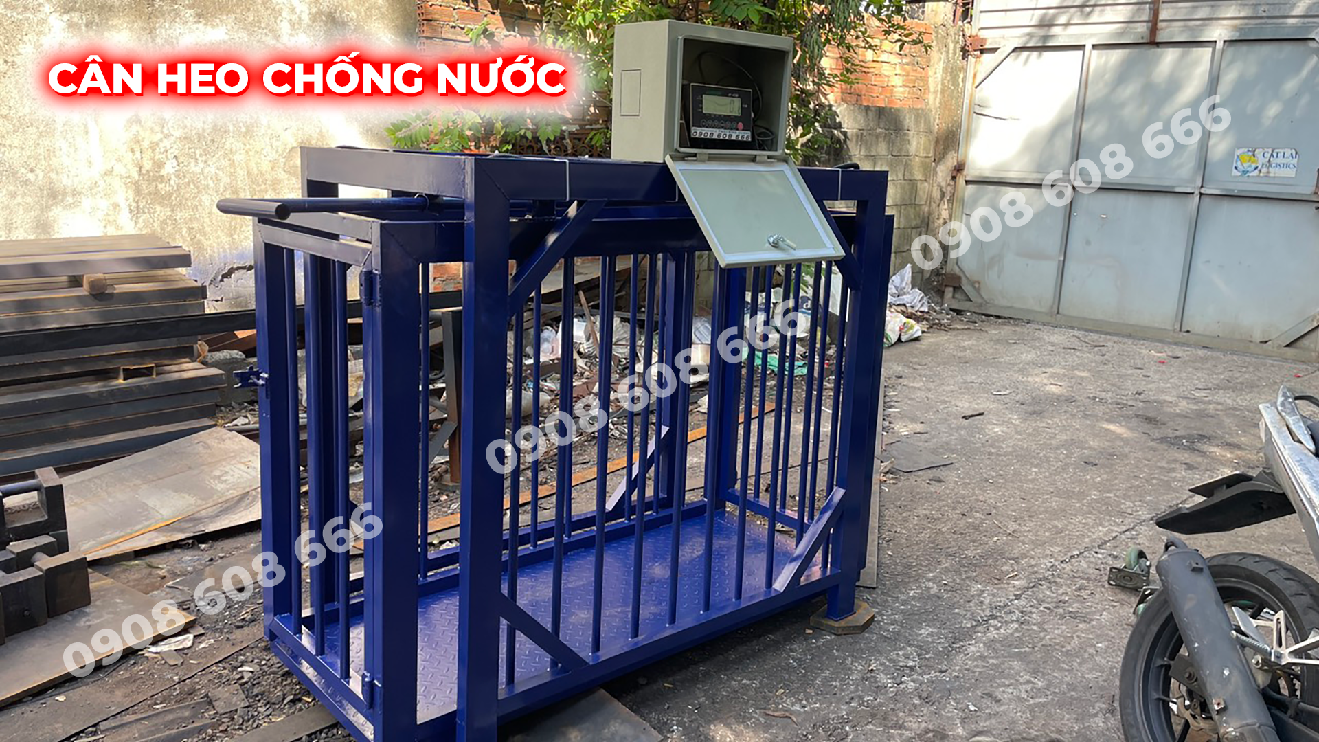 cân heo chống nước tại phù cát bình định